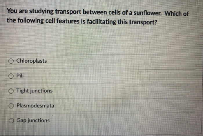 Solved You Are Studying Transport Between Cells Of A | Chegg.com