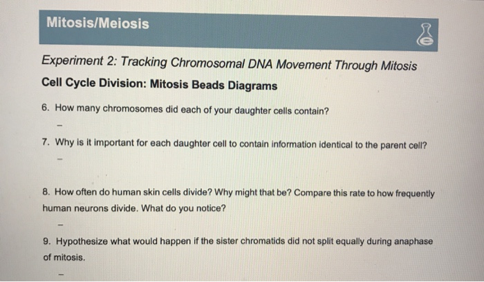 Mitosis Meiosis Experiment 2 Tracking Chromosomal Chegg 