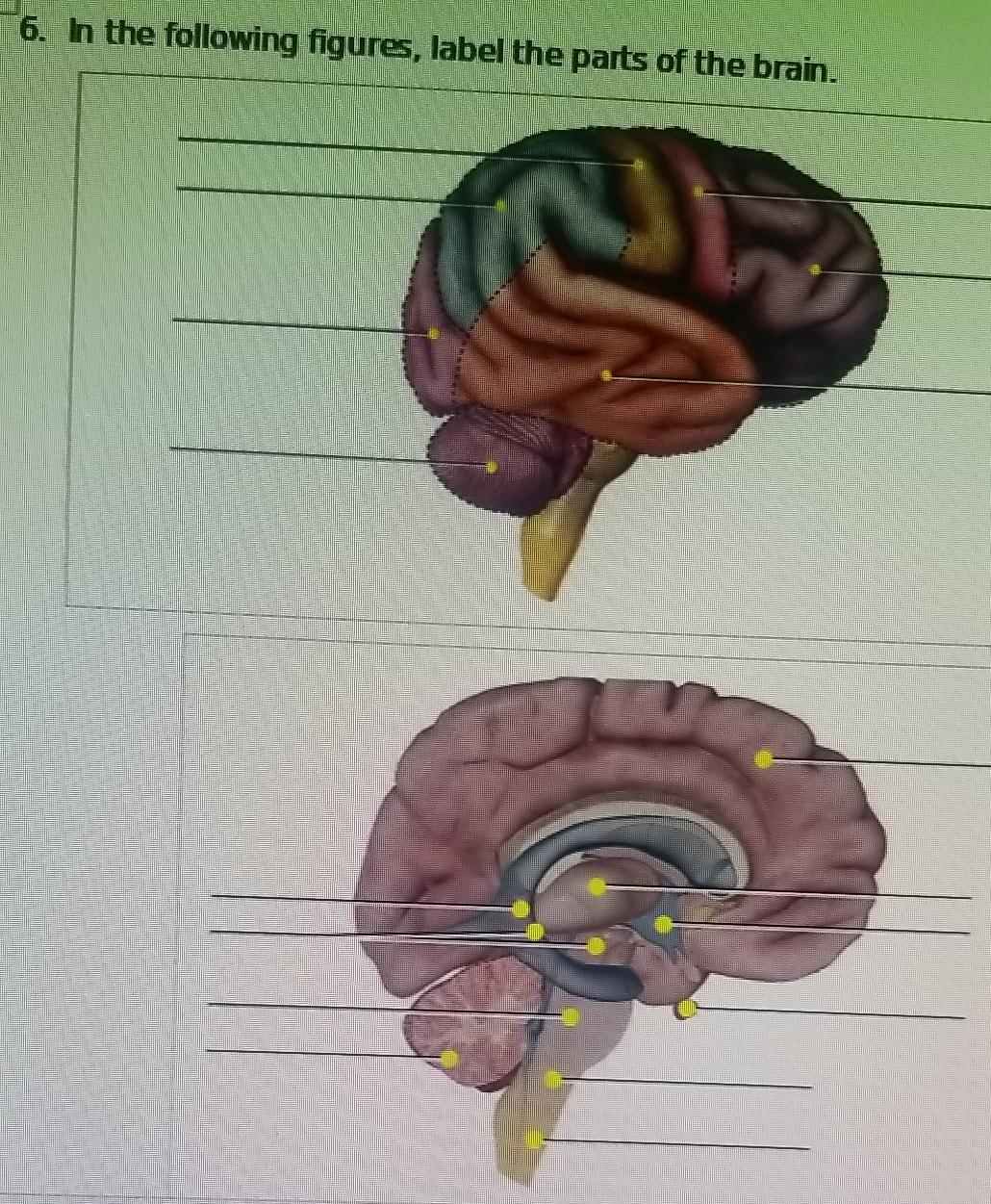 Solved 6. In the following figures, label the parts of the | Chegg.com