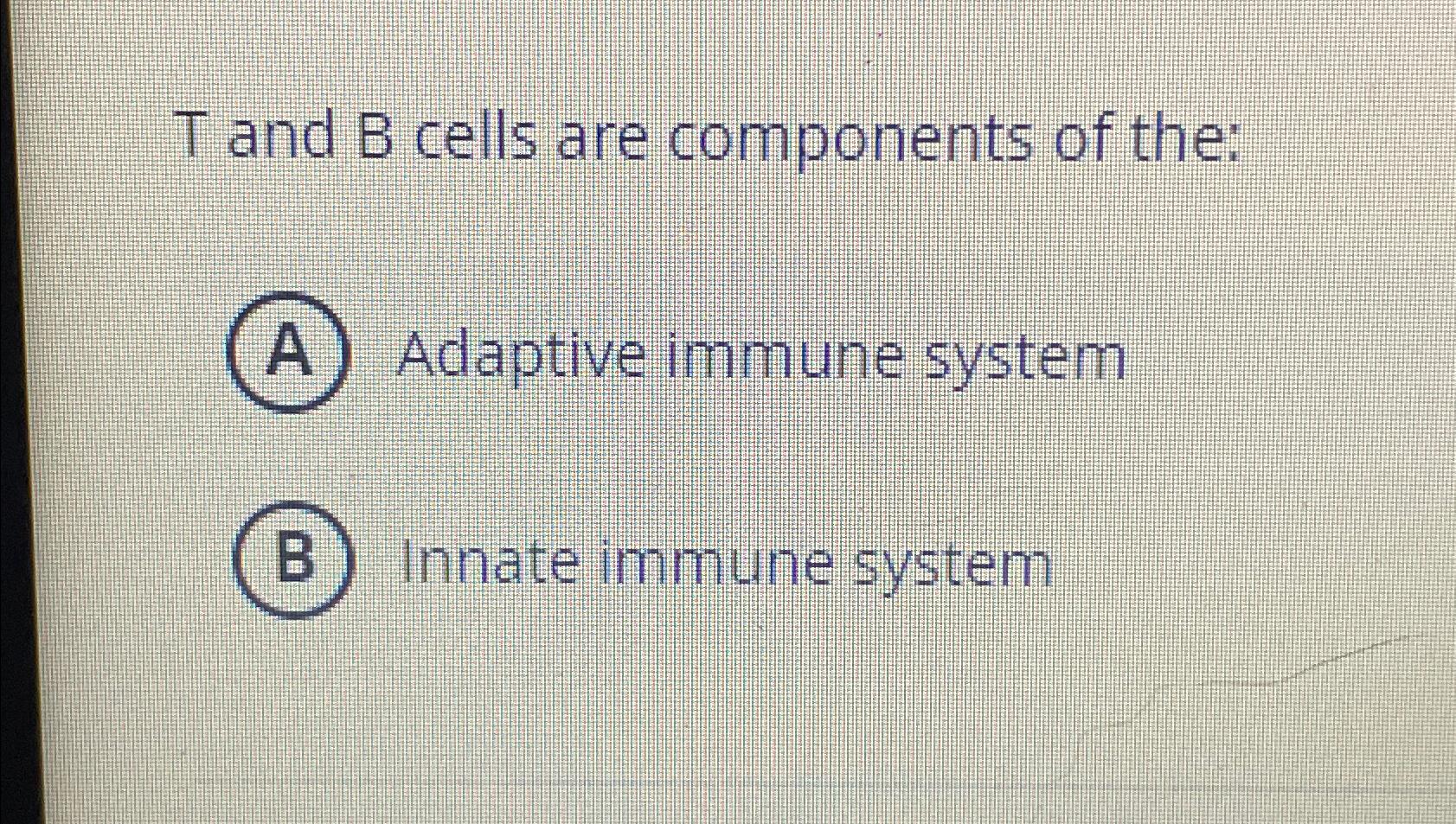 are b cells and t cells innate or adaptive