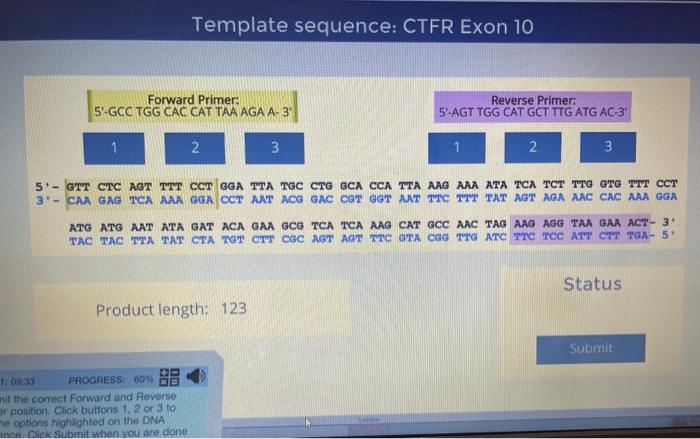 Solved Submit the correct Forward and Reverse Primer | Chegg.com