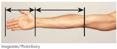 Forearm Measurement