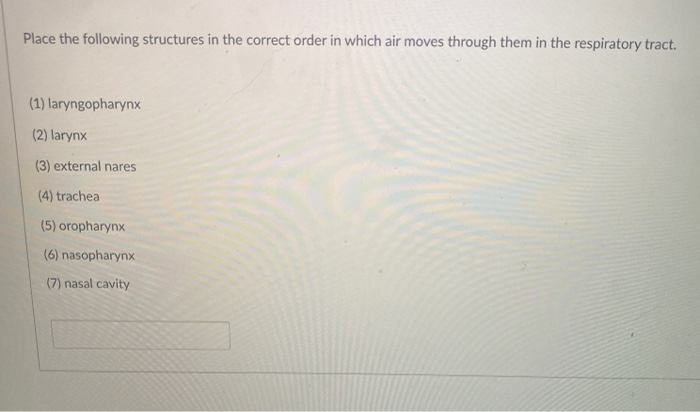 Solved Place the following structures in the correct order | Chegg.com