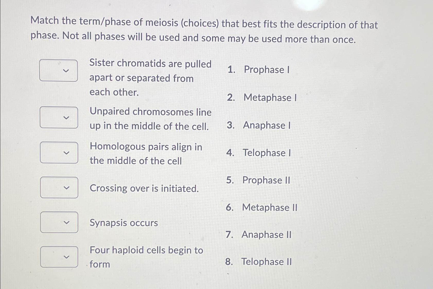 Solved Match the term/phase of meiosis (choices) ﻿that best | Chegg.com