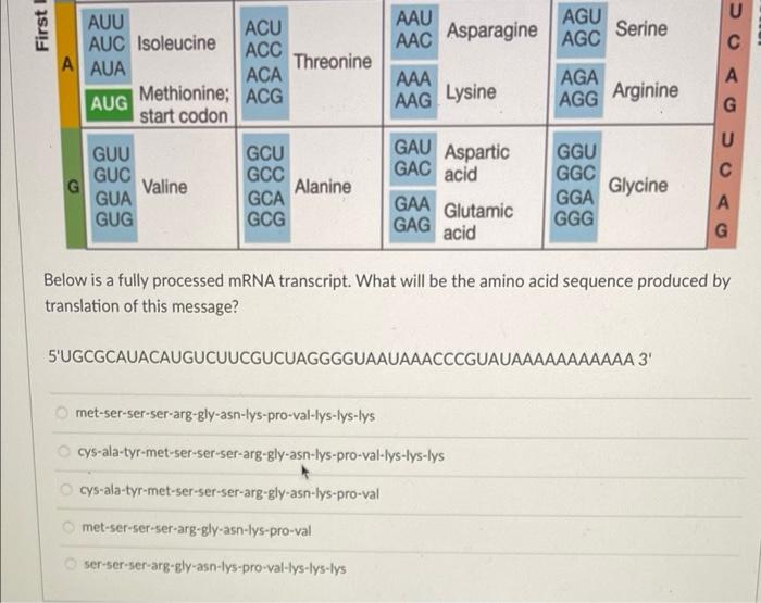 Solved First AAU AAC Asparagine AGU AGC Serine AUU ACU AUC | Chegg.com