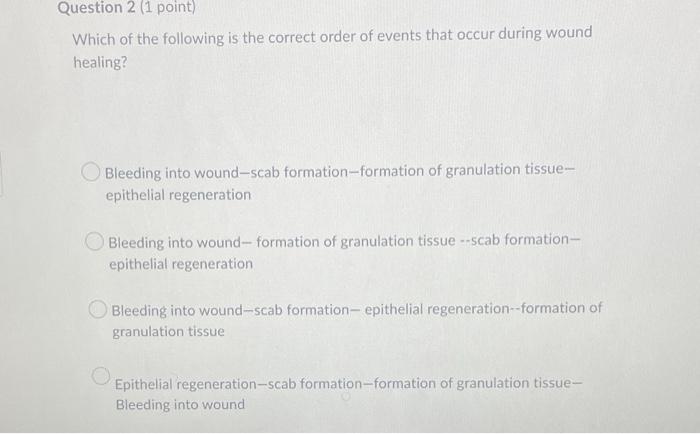 Scoring system employed for granulation tissue formation in the