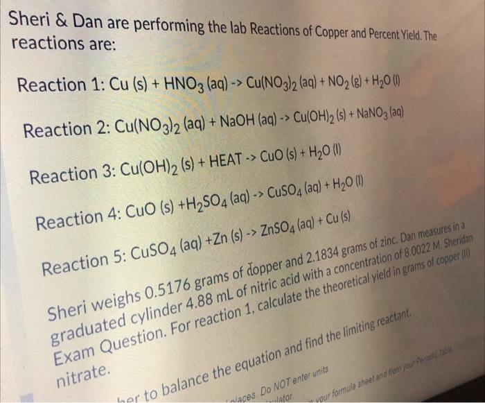 [Solved] Sheri & Dan are performing the lab Reactions of C