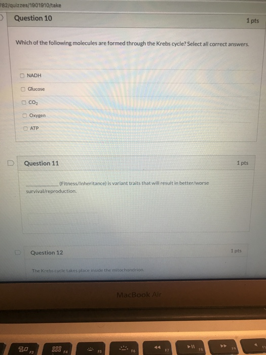 Solved 782/quizzes/1901910/take Question 10 1 pts Which of | Chegg.com