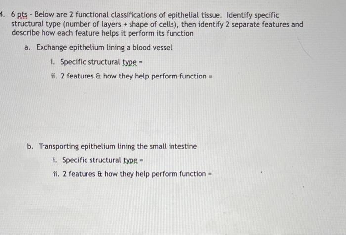 Solved 4. 6 pts - Below are 2 functional classifications of | Chegg.com