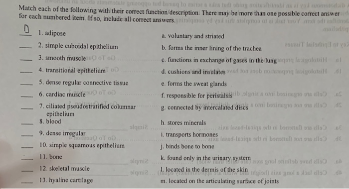 Solved Match each of the following with their correct | Chegg.com