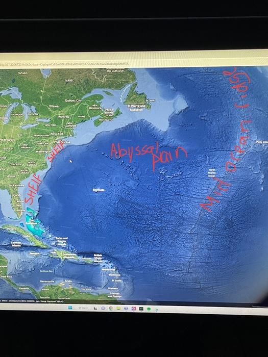 Solved 1. lable the continental shelf, shelf break,