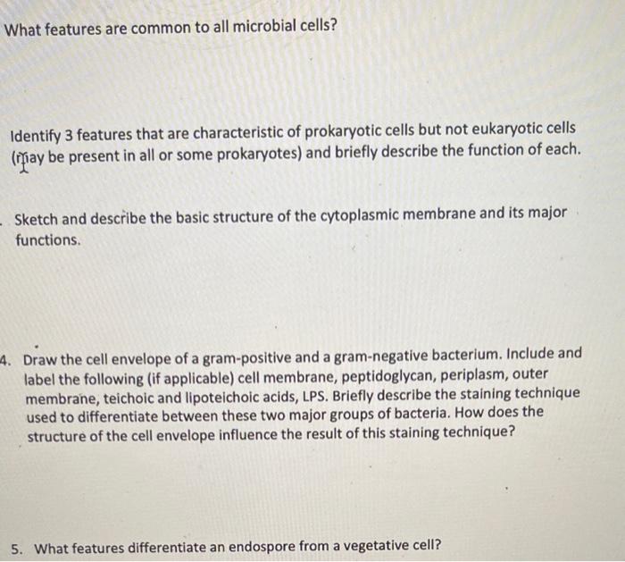 identify three features that all cells have in common