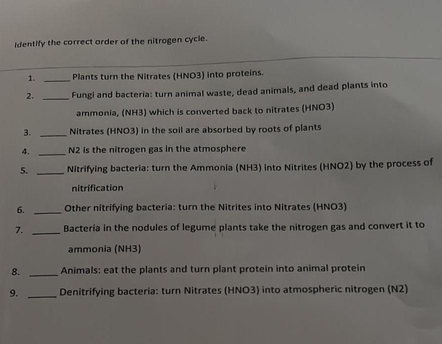 Identify the correct order of the nitrogen cycle.
1. Plants turn the Nitrates (HNO3) into proteins.
2. Fungi and bacteria: tu