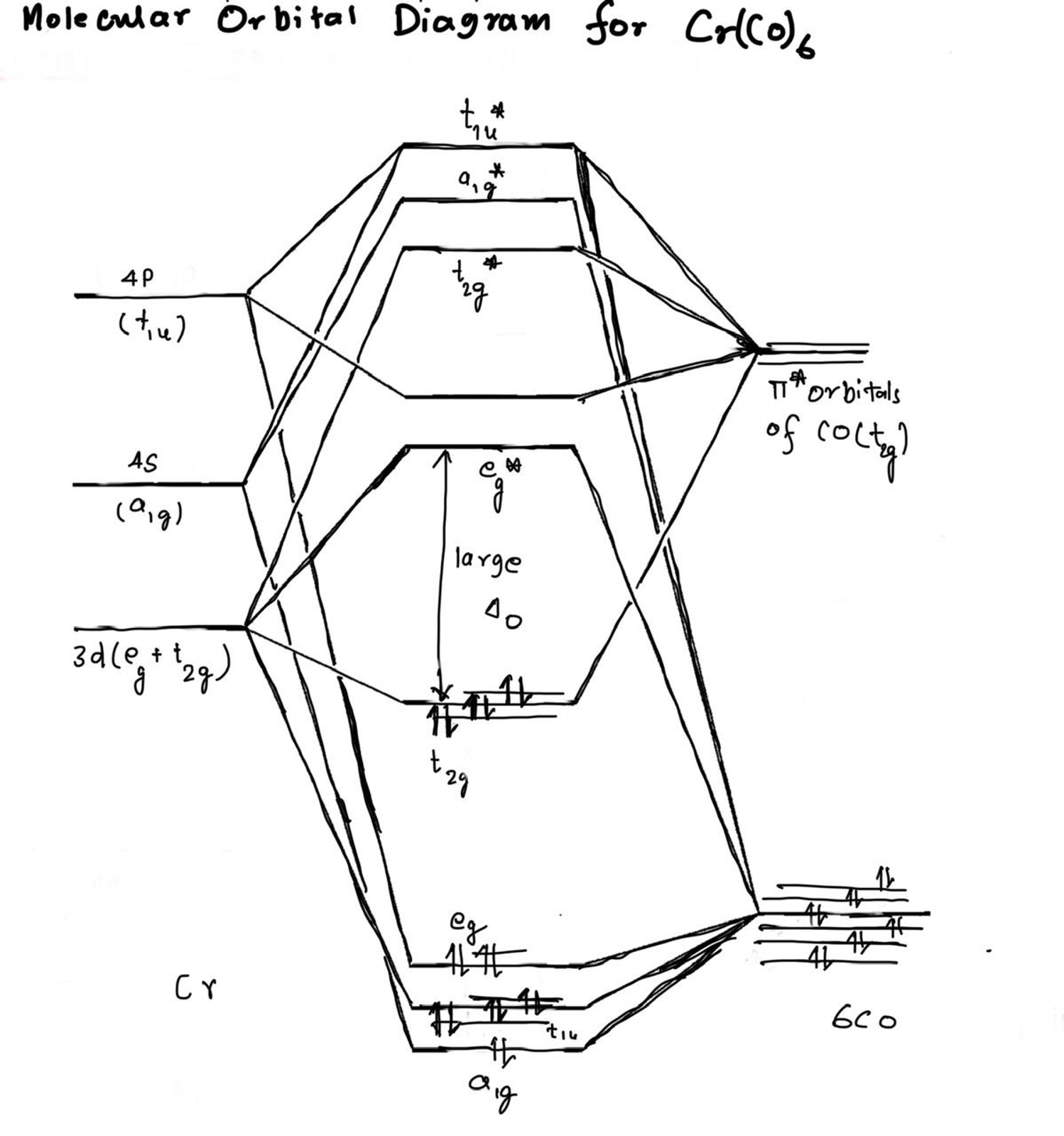 Solved Draw the Molecular Orbital Energy Diagram of the | Chegg.com