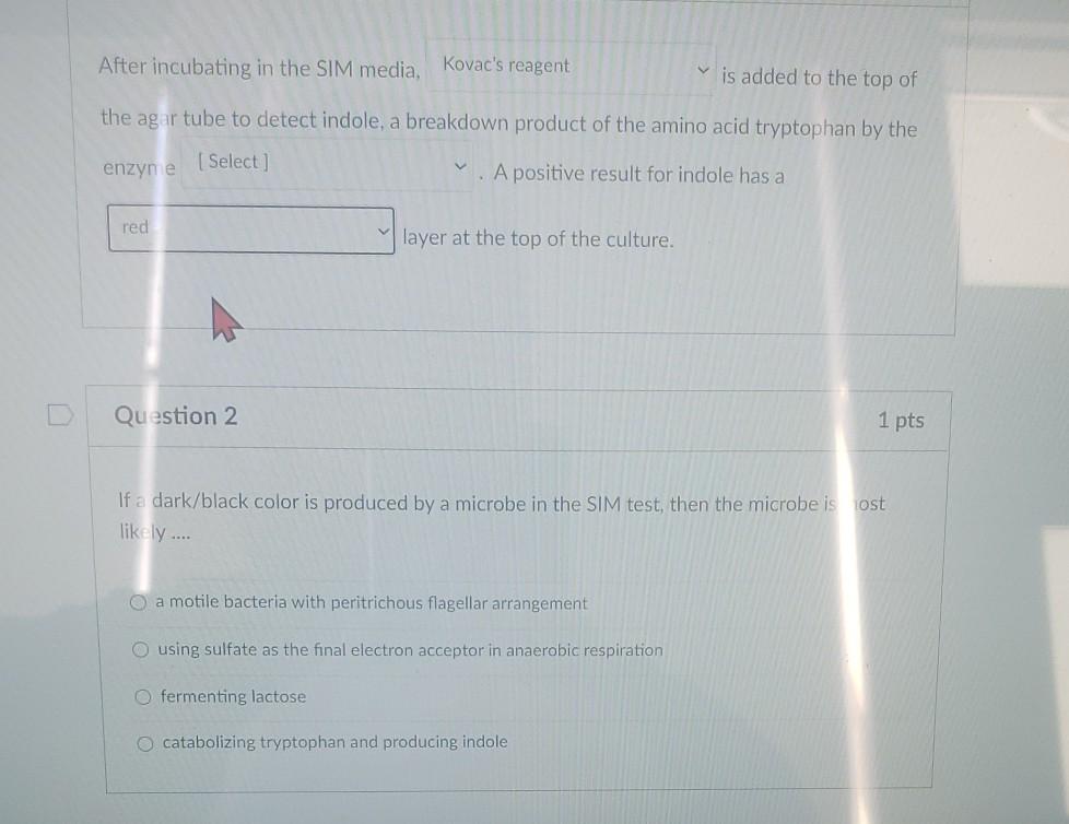 Solved After incubating in the SIM media, Kovac's reagent V | Chegg.com