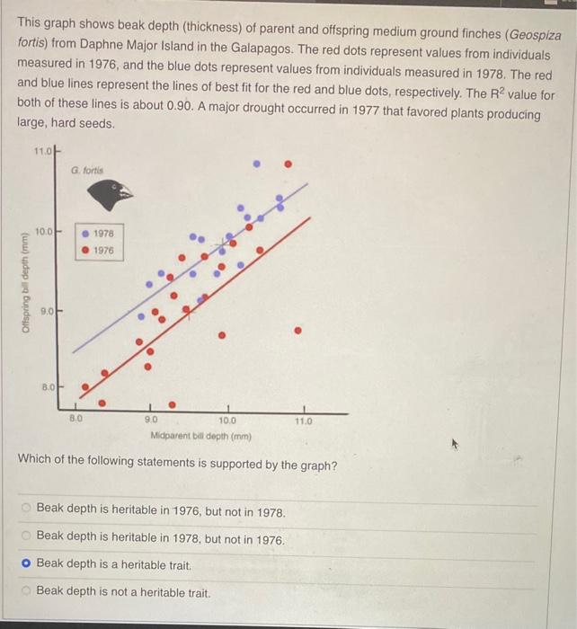 Solved This graph shows beak depth (thickness) of parent and | Chegg.com