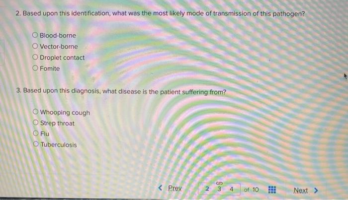 Solved Introduction Read The Patient Case Below, And Then | Chegg.com