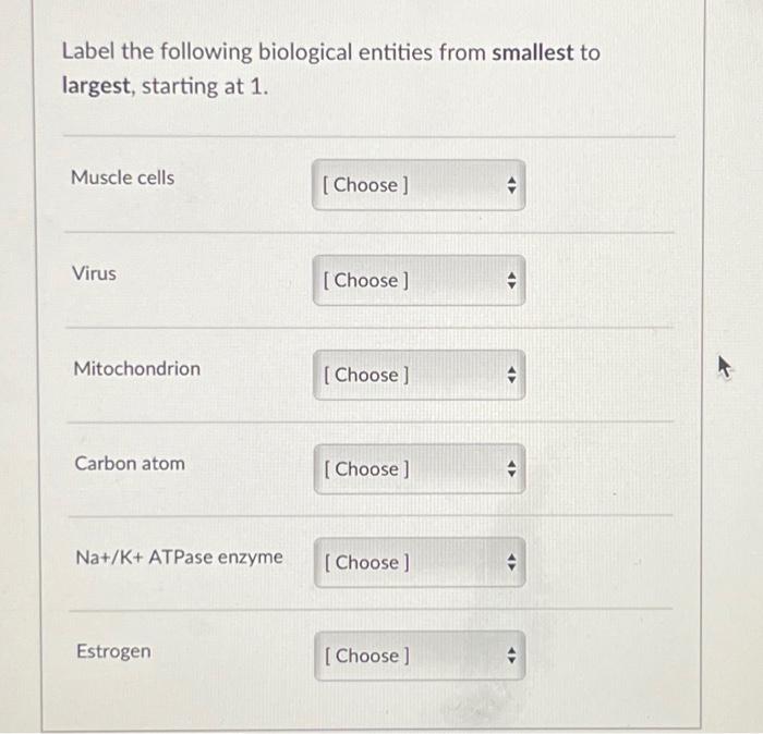 Solved Label the following biological entities from smallest | Chegg.com