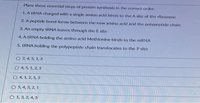 Solved Place these essential steps of protein synthesis in | Chegg.com