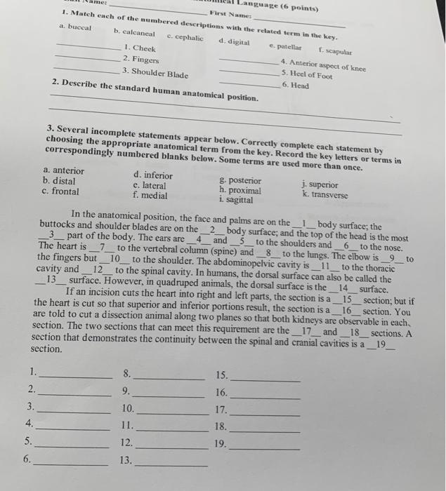 Solved 1. Mateh each of the numbered descriptions with the | Chegg.com