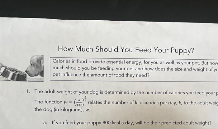 Puppy calories clearance