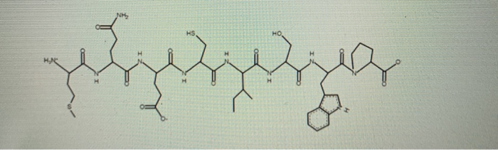 Solved 1. Name the amino acids in the peptide using one | Chegg.com