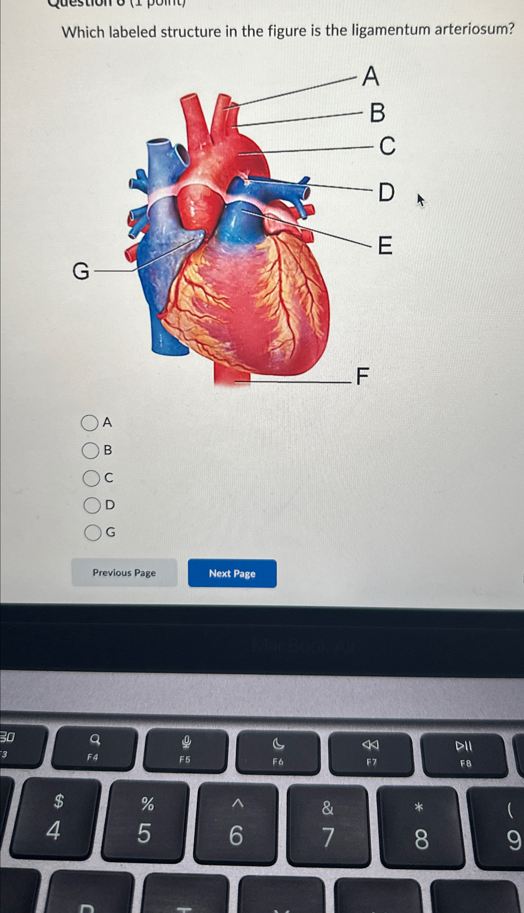 Solved Which labeled structure in the figure is the | Chegg.com