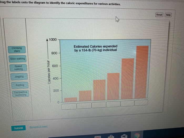 Reproductive system worksheet pdf answers image