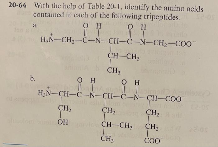 Solved 20-64 With the help of Table 20-1, identify the amino | Chegg.com