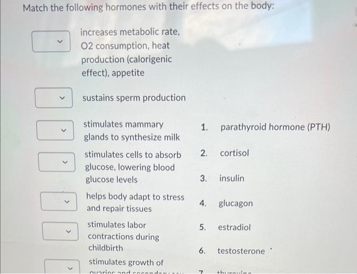 Solved Match the following hormones with their effects on | Chegg.com