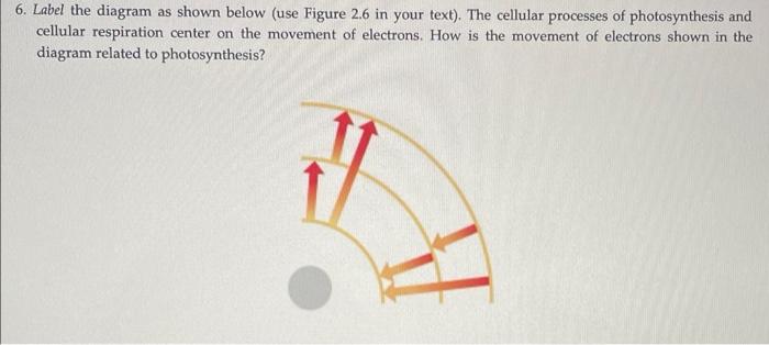 Solved 6. Label the diagram as shown below (use Figure 2.6 | Chegg.com