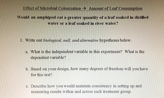 Solved Effect of Microbial Colonization → Amount of Leaf | Chegg.com