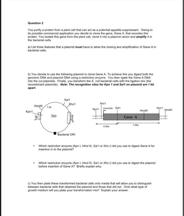 Solved 1 of 3 Practice Problems for Recombinant DNA, Session | Chegg.com