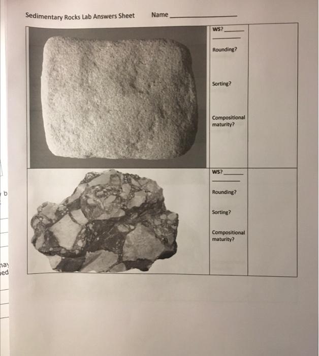 Solved Sedimentary Rocks Lab Answers Sheet