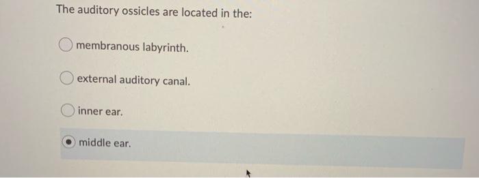 Solved As a general rule, the sympathetic division: O | Chegg.com