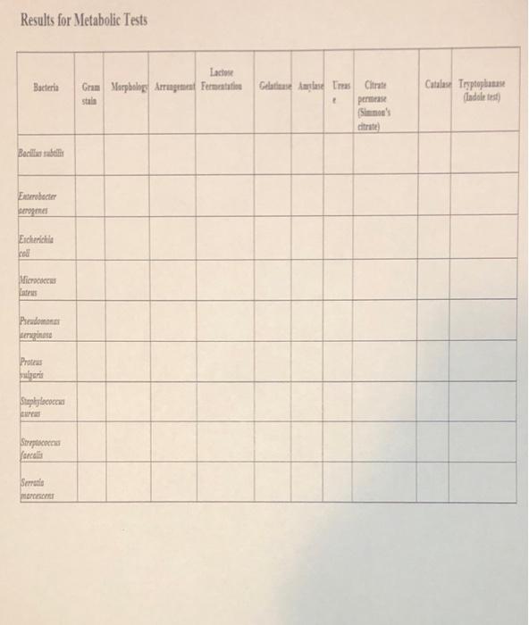 Solved Results for Metabolic Tests Lacto Bacteria Catalan | Chegg.com