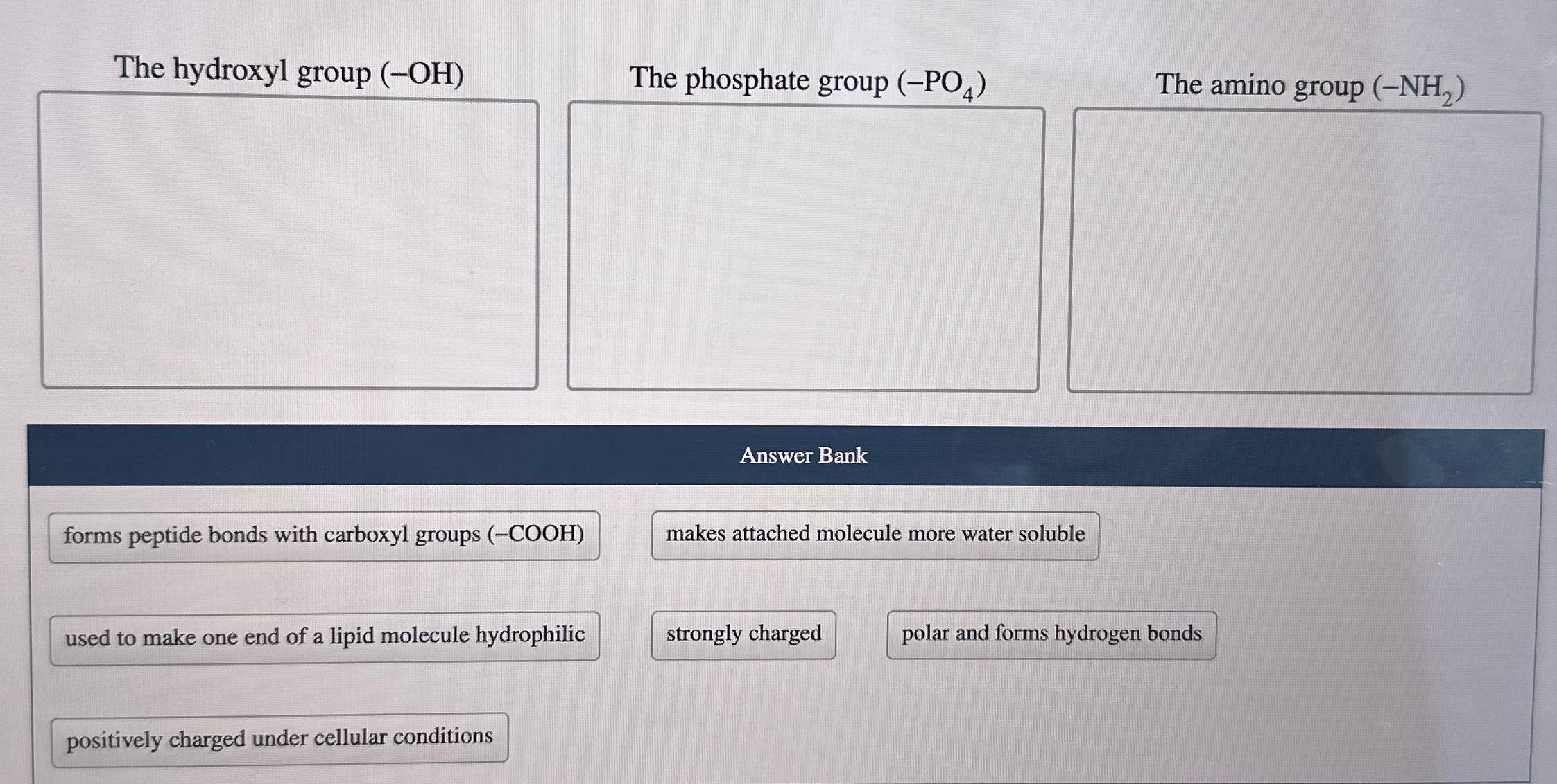 Solved The hydroxyl group (-OH)The phosphate group (-PO4)The | Chegg.com