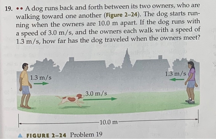 why do dogs run back and forth really fast