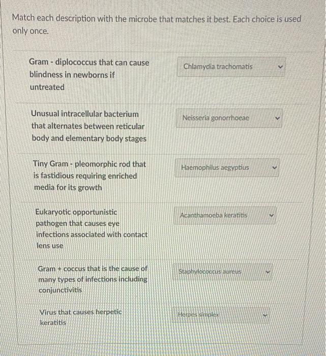 Solved Match each description with the microbe that matches | Chegg.com