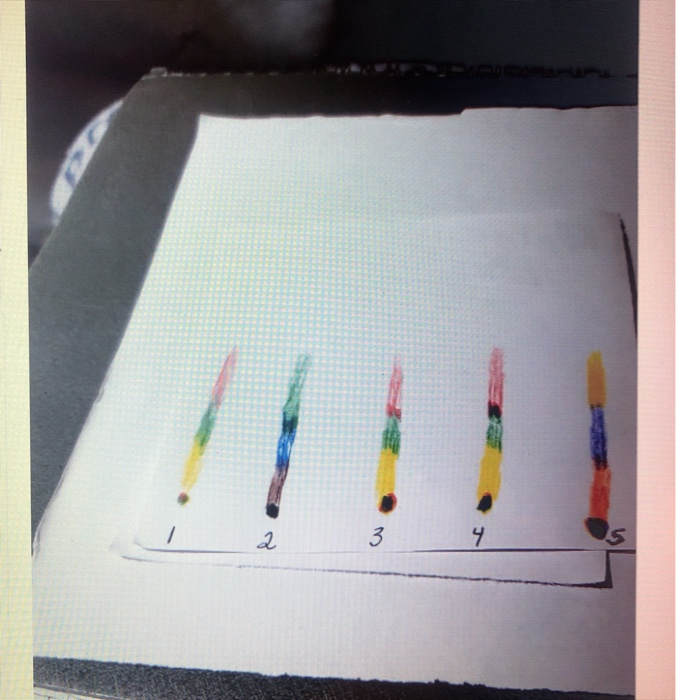 Color Band Math Solved Data Analysis of Color Bands. Please place a check | Chegg.com