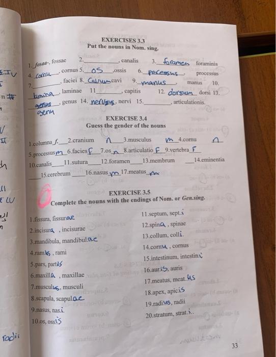 latin homework help please. i need help with Exercise | Chegg.com