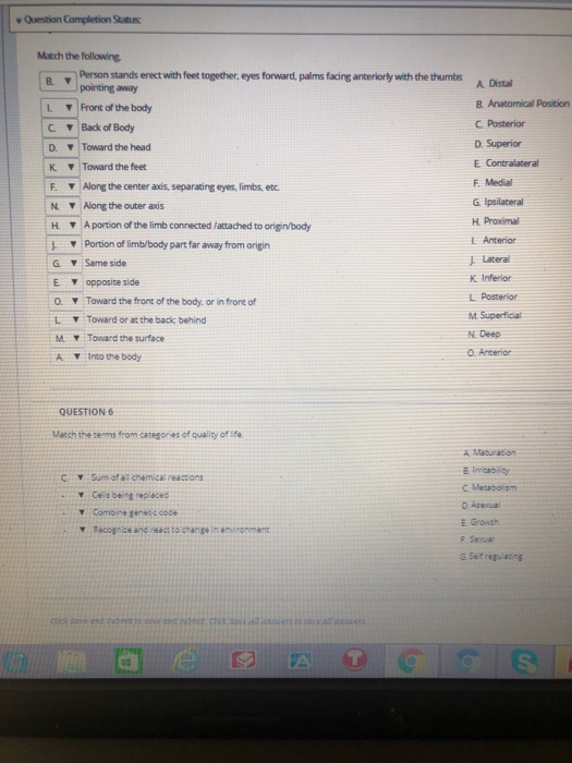 Solved Question Completion Status Match the following Person | Chegg.com