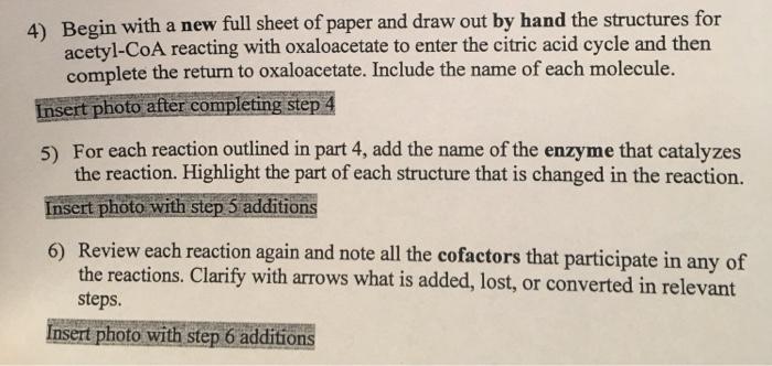 Solved could you help me with this problem, and if you could | Chegg.com