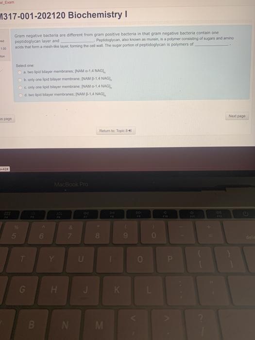 Solved 11317-001-202120 Biochemistry Gram negative bacteria | Chegg.com