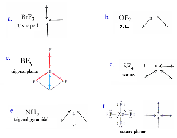 Solved Which of the following molecules have a net dipole | Chegg.com