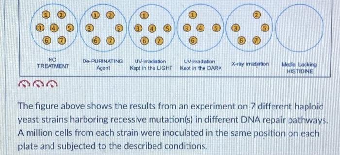 Solved The figure above shows the results from an experiment | Chegg.com