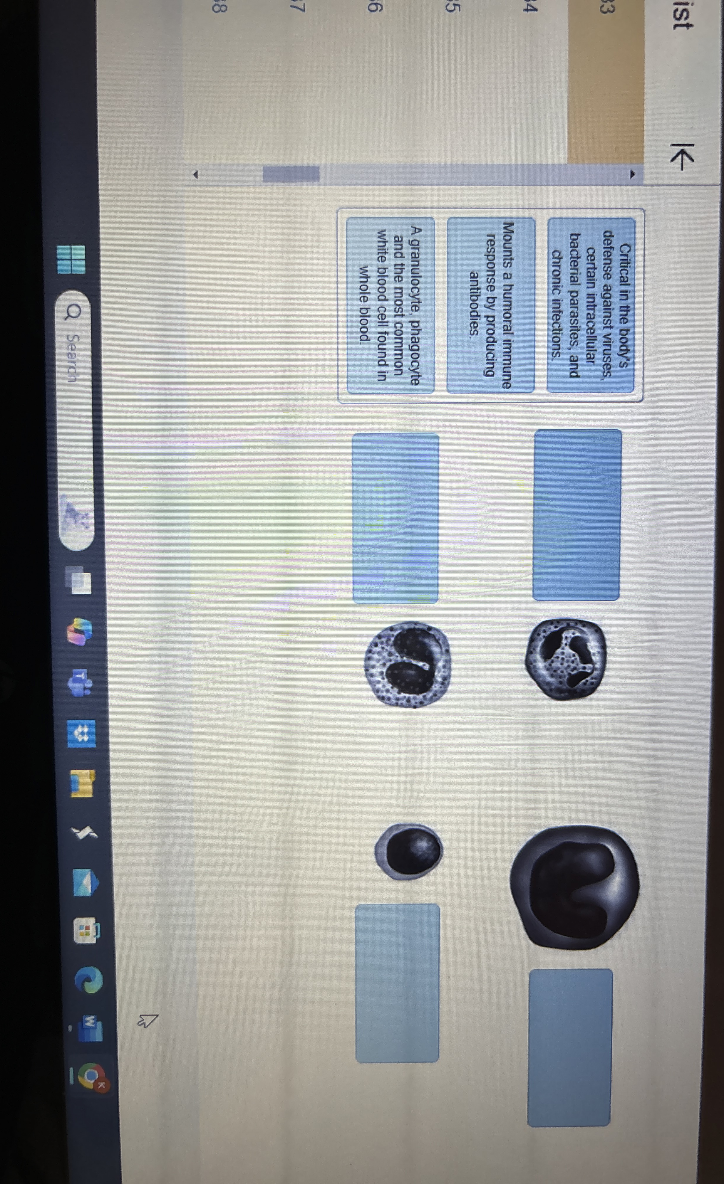 istCritical in the body's defense against viruses,