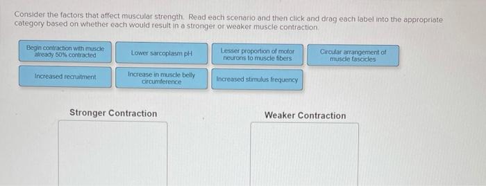 Solved Consider the factors that affect muscular strength. | Chegg.com