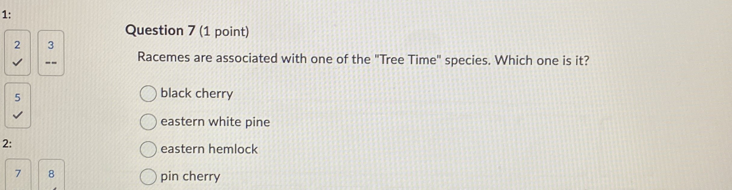 Solved Question 7 (1 ﻿point)Racemes are associated with one | Chegg.com