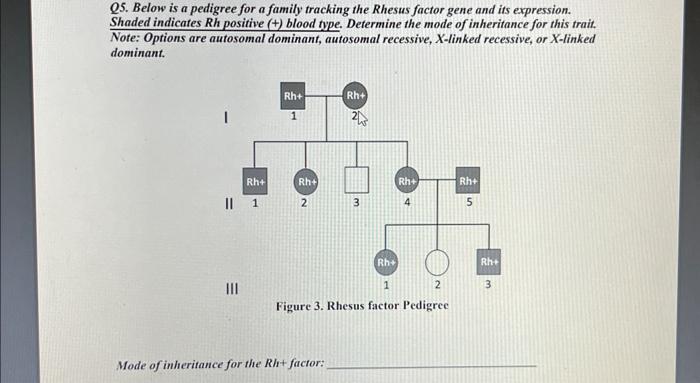 Solved Q5. Below is a pedigree for a family tracking the | Chegg.com
